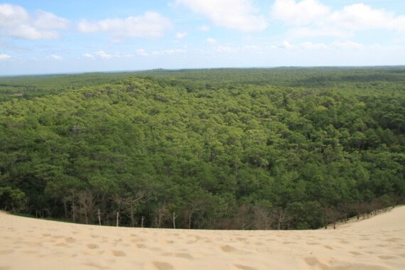 Collier Landes – Image 4