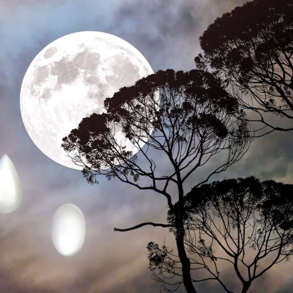 La pierre de Lune en bijouterie