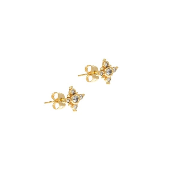 puces oreilles etoile