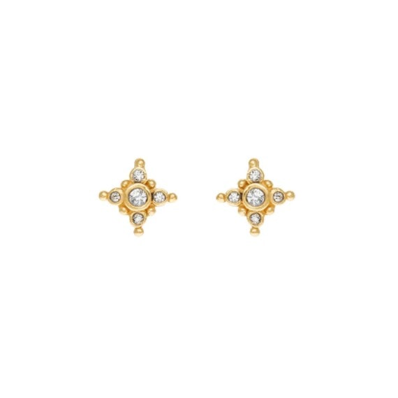 puces oreilles etoile