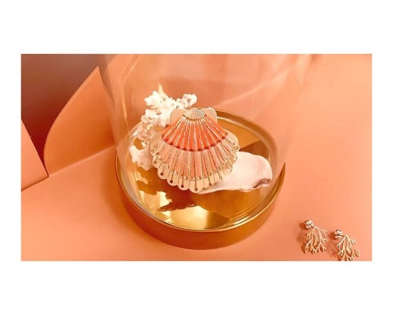 broche coquillage éventail