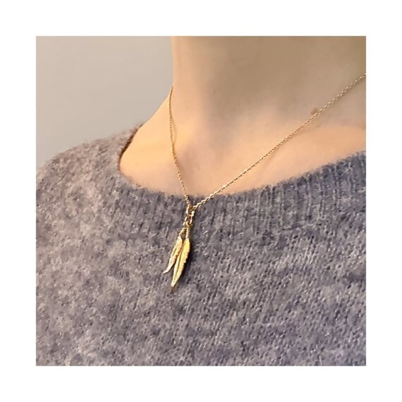 collier plumes pantanal