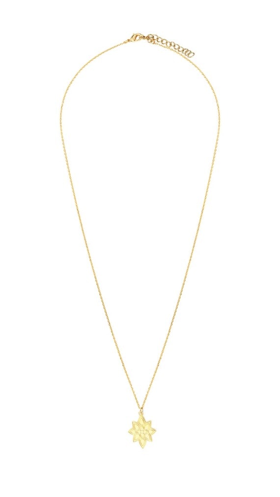 Collier flocon vue d'ensemble