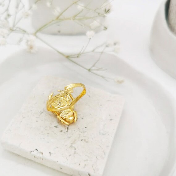 bague Iépa. Bague scarabée totem. Bijou femme Elise Tsikis