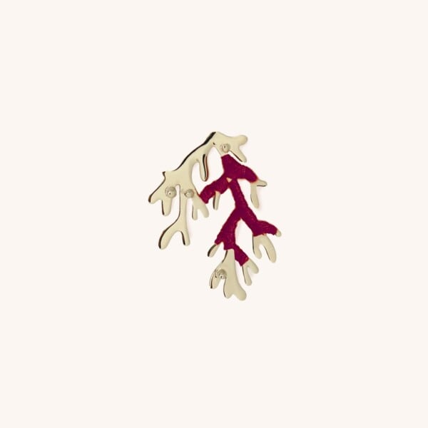 Boucle corail à l'unité Fidji Figue