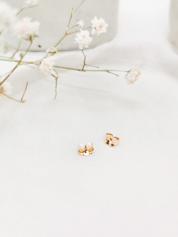 Fermetures papillons des boucles d'oreilles