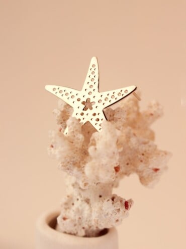 Pin's Coquillage Océan (au choix)