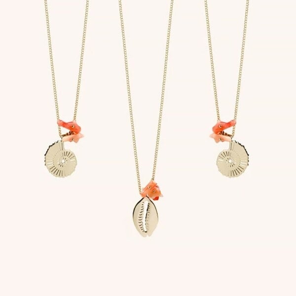 Collier coquillage océan au choix : amonite ou cauri.