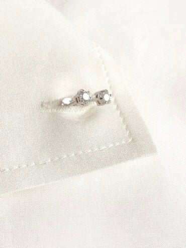 Puces d'oreilles Venise