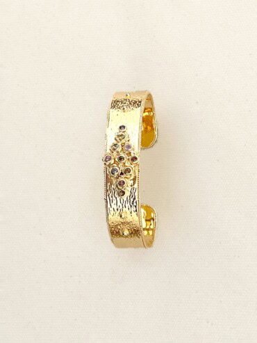 Jonc tourmalines chez poisson plume