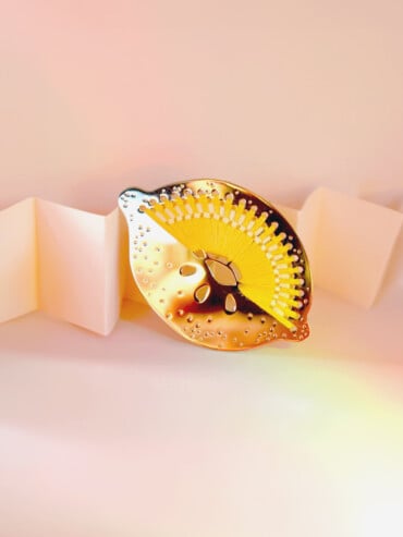 Broche Citron