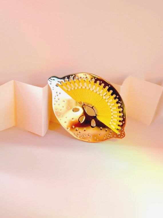 Broche Citron – Image 2