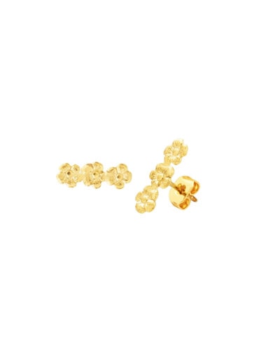 Puces d'oreilles Florilège