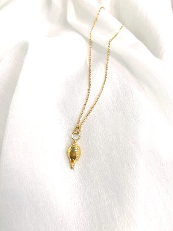 Collier coquillage plaque or - pendentif conche dorée