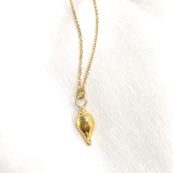 Collier coquillage plaque or - pendentif conche dorée - zoom