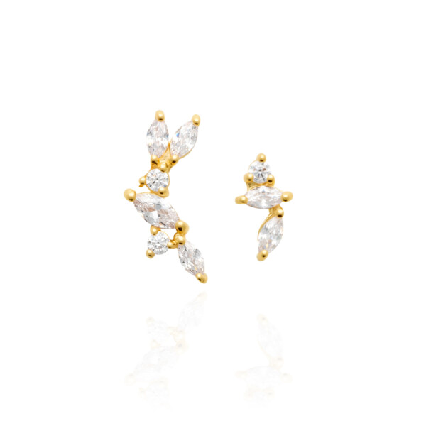 Puces d'oreilles Montréal