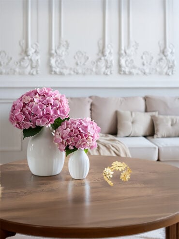 Jonc Astra Marguerite